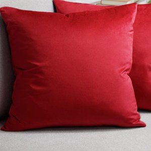 1 Luxurious Silky Velvet Pillow Cover Softest Decorative Throw Pillow 21.5"